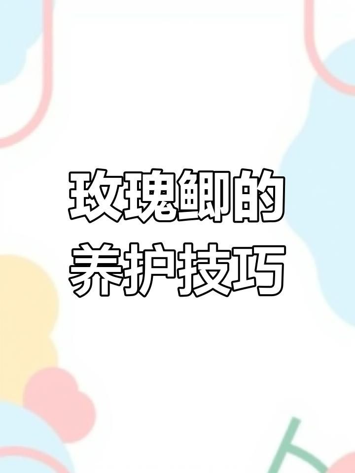 玫瑰鯽就是金元寶嗎，玫瑰鯽就是金元寶嗎元寶魚怎么養元寶魚養殖方法 玫瑰鯽就是金元寶嗎，玫瑰鯽就是金元寶嗎元寶魚怎么養元寶魚養殖方法 龍魚百科 第6張