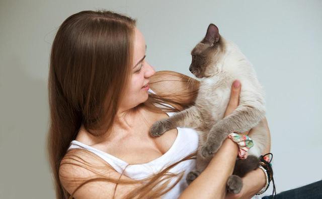 養(yǎng)貓最旺的三個生肖，養(yǎng)貓最旺的三個生肖分別是屬鼠、屬牛和屬牛和屬牛的人