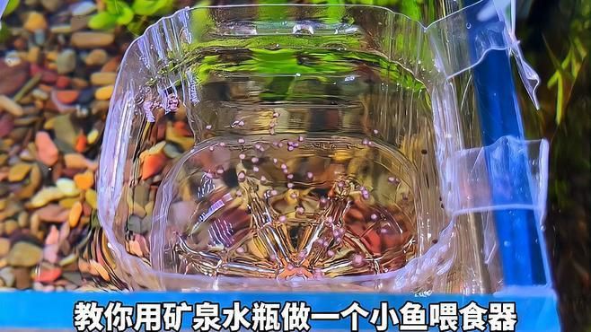 簡(jiǎn)易自制一周喂魚(yú)器教程，簡(jiǎn)易自制一周喂魚(yú)器全攻略
