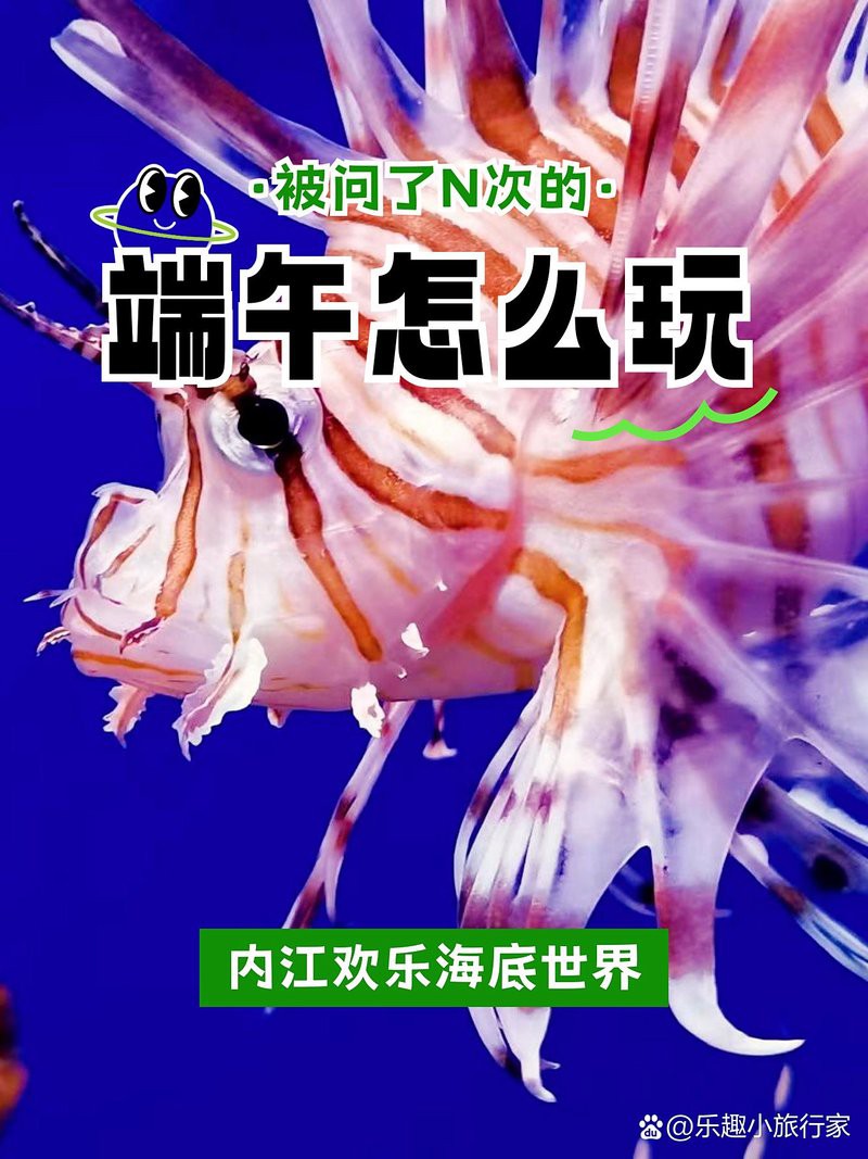 內江水族店，七秒水族（睿美水族內江專賣店）位于內江市中區上南街134號