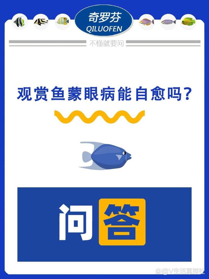 紅龍蒙眼病會自愈嗎？，紅龍蒙眼病能自愈嗎