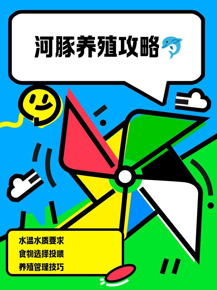 淡水河豚魚怎么養(yǎng)，淡水河豚魚養(yǎng)殖指南