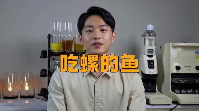 推薦一些其他吃螺卵的魚種，什么魚吃螺卵又不傷魚