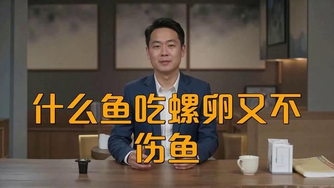 推薦一些其他吃螺卵的魚種，什么魚吃螺卵又不傷魚