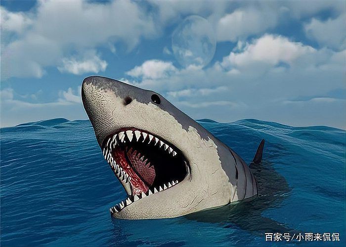 馬里亞納海溝有巨齒鯊嗎，科普，馬里亞納海溝的神秘現象，或許存在史前生物巨齒鯊