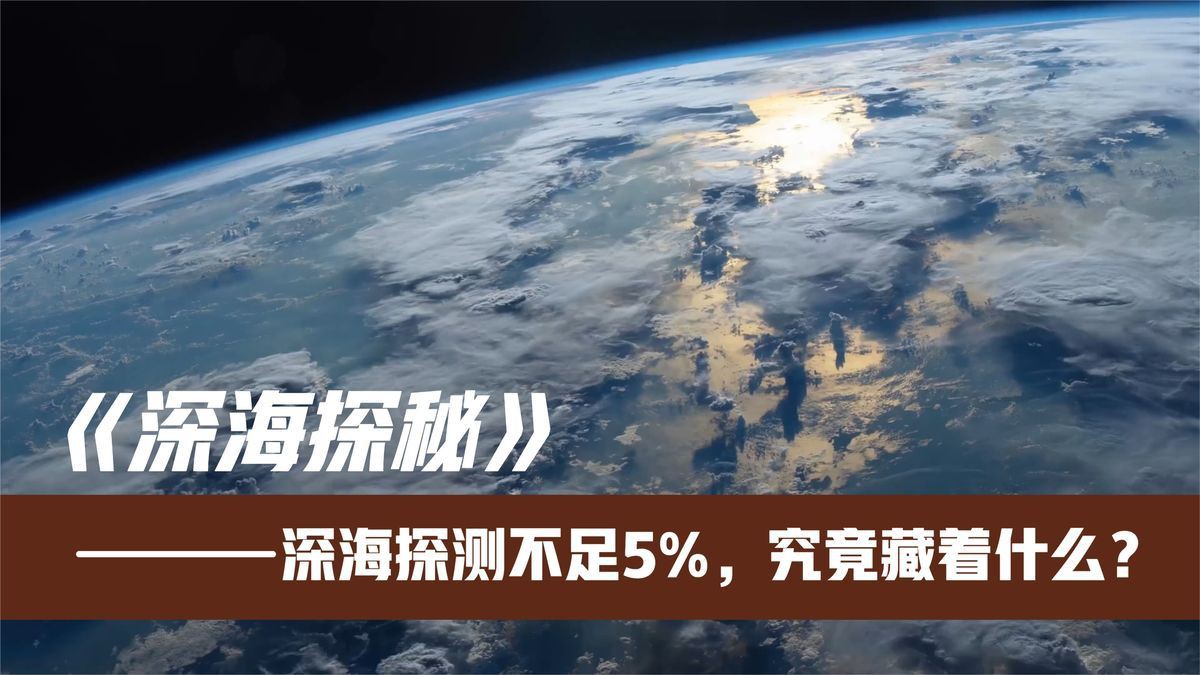 馬里亞納海溝有巨齒鯊嗎，科普，馬里亞納海溝的神秘現象，或許存在史前生物巨齒鯊