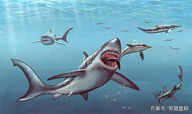 馬里亞納海溝有巨齒鯊嗎，科普，馬里亞納海溝的神秘現象，或許存在史前生物巨齒鯊