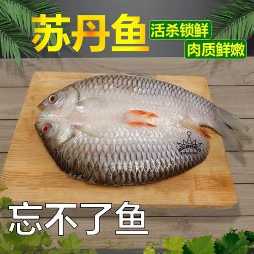 馬來(lái)魚圖片，皮頷馬來(lái)西亞的“魚皇”是什么魚呢酷似軍魚連魚鱗也能吃