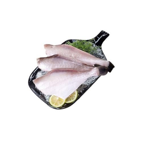 馬來(lái)魚圖片，皮頷馬來(lái)西亞的“魚皇”是什么魚呢酷似軍魚連魚鱗也能吃