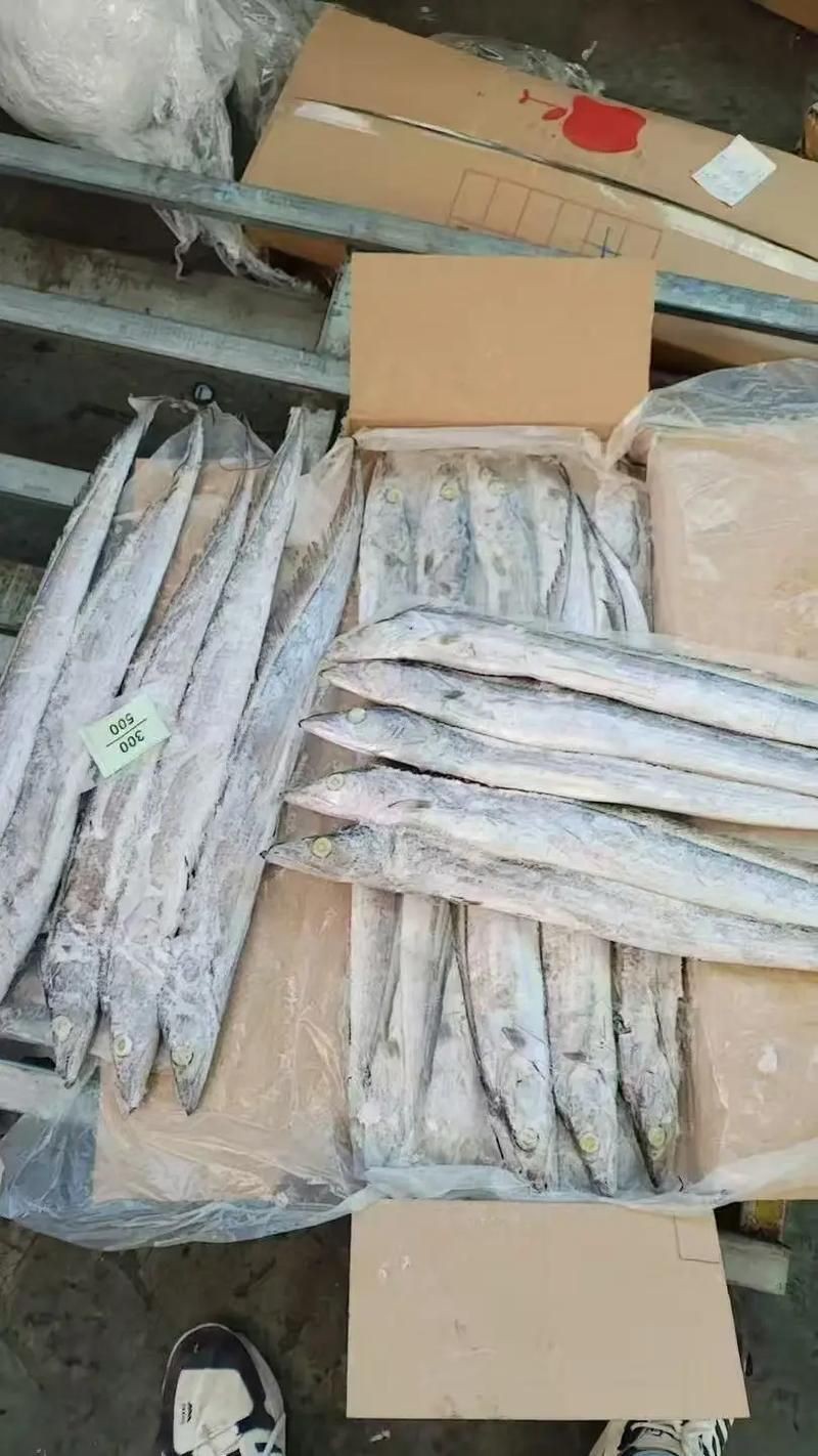 馬來(lái)魚圖片，皮頷馬來(lái)西亞的“魚皇”是什么魚呢酷似軍魚連魚鱗也能吃