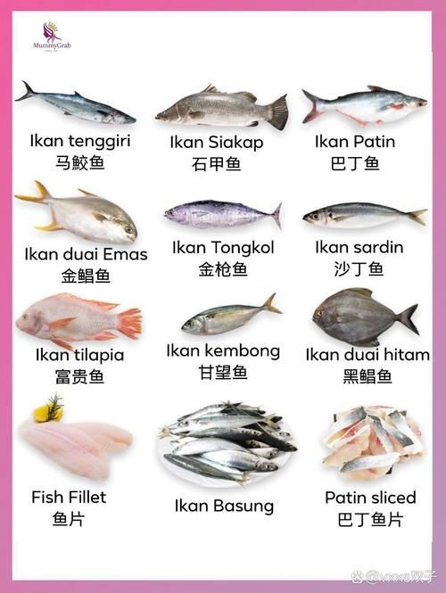 馬來(lái)魚圖片，皮頷馬來(lái)西亞的“魚皇”是什么魚呢酷似軍魚連魚鱗也能吃