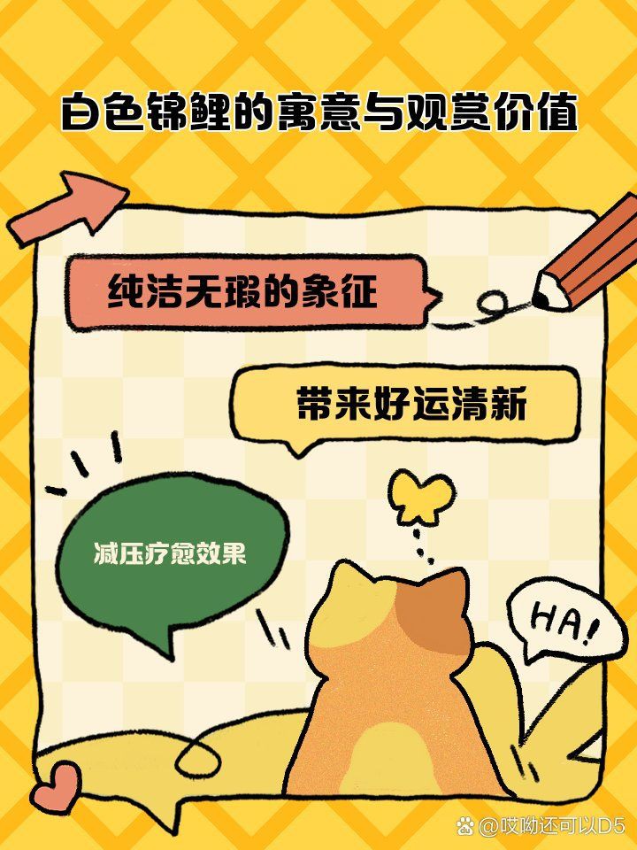 兩條白錦鯉的寓意，《兩條白錦鯉的寓意》在傳統文化中 兩條白錦鯉的寓意，《兩條白錦鯉的寓意》在傳統文化中 龍魚百科 第2張