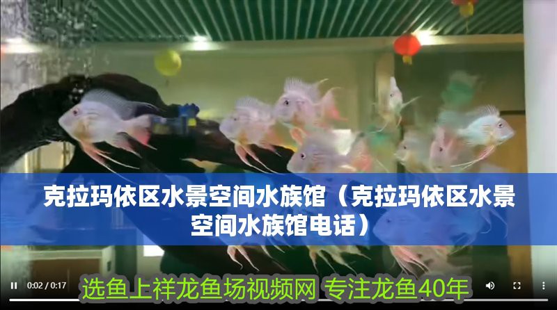 克拉瑪依區(qū)龍魚店，克拉瑪依區(qū)水景空間水族館
