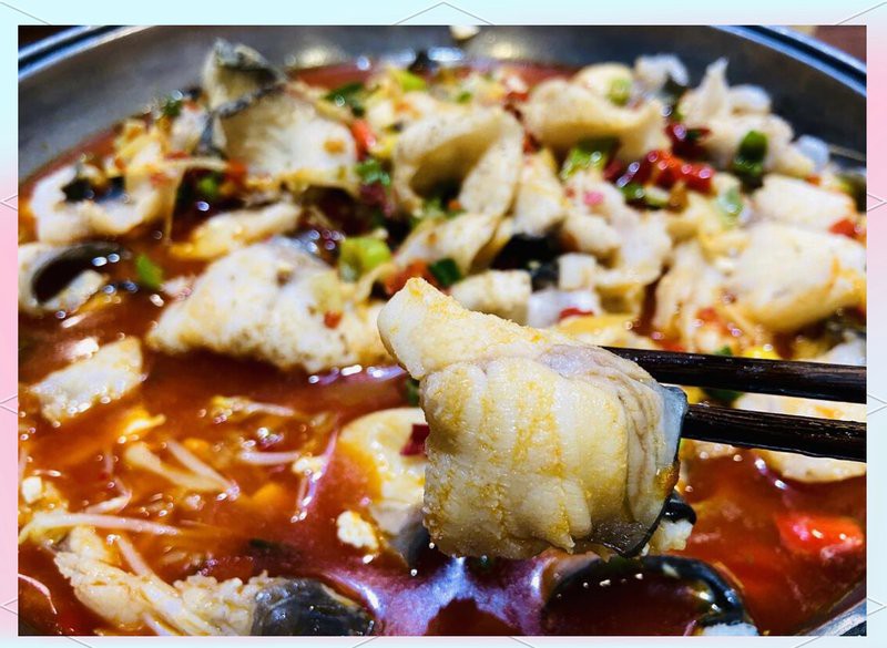 克拉瑪依區(qū)龍魚店，克拉瑪依區(qū)水景空間水族館