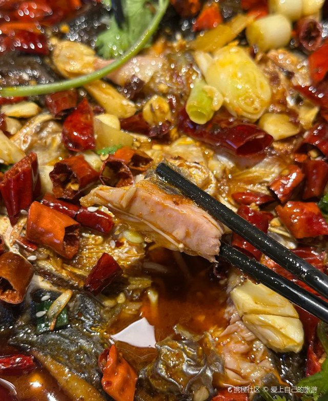 克拉瑪依區(qū)龍魚店，克拉瑪依區(qū)水景空間水族館