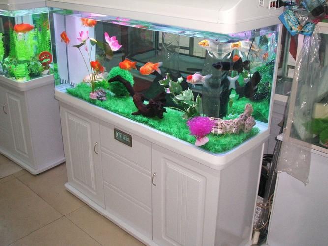 永州魚缸店，永州市冷水灘區新時尚生態水族店2025年水族魚缸市場趨勢