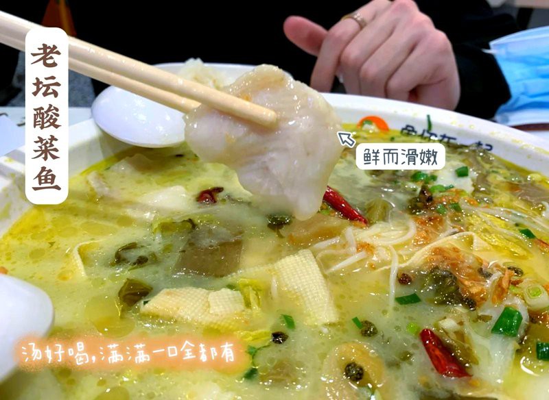 坪山龍魚店，坪山龍魚店哪家口碑最好