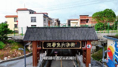 廉江龍魚店，廣州廉江龍魚店哪家最好廉江龍魚店哪家最好