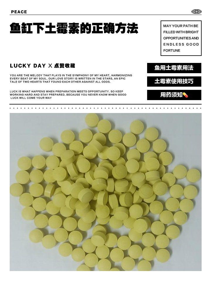 魚爛尾土霉素泡了三天，三天土霉素泡水為何頻發(fā)三步急救三步急救法助你挽回損失
