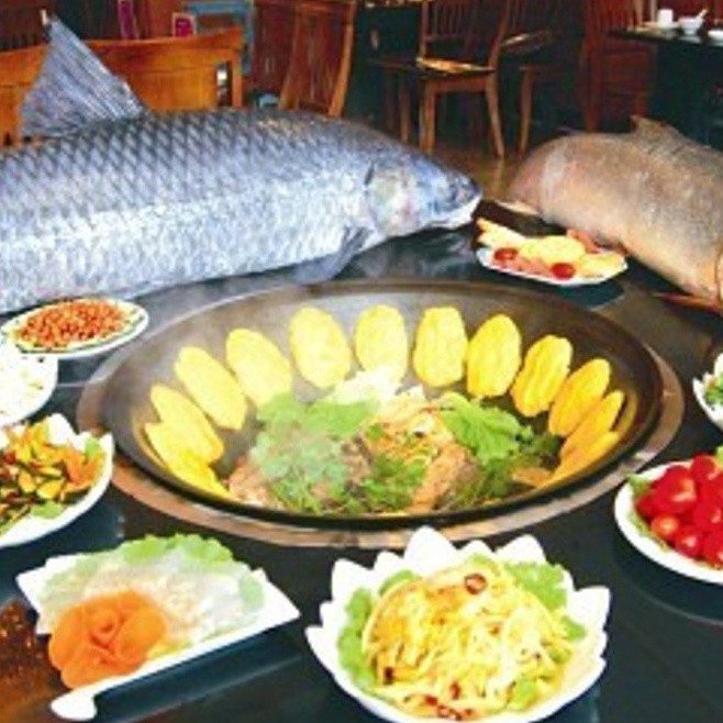 敖漢龍魚店，內(nèi)蒙古敖漢龍魚店