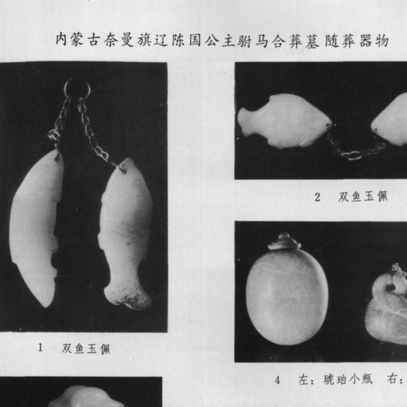 魚龍玉佩不能亂戴，《魚龍玉佩不能亂戴》
