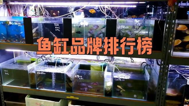 十大最建議買的智能魚缸，2025年中國水族箱品牌top10權威榜單出爐 十大最建議買的智能魚缸，2025年中國水族箱品牌top10權威榜單出爐 龍魚百科 第6張