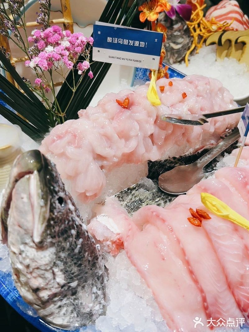 巴林右旗龍魚店，京東巴林右旗龍魚店\