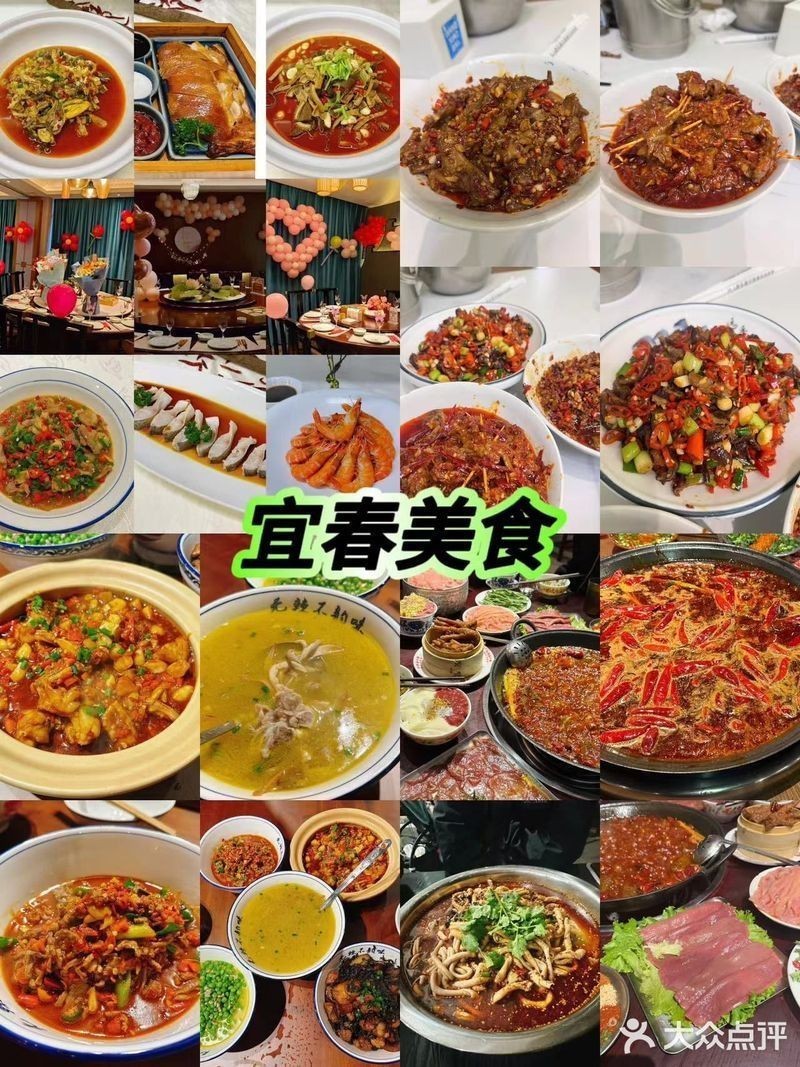 宜春龍魚店，宜春的龍魚店