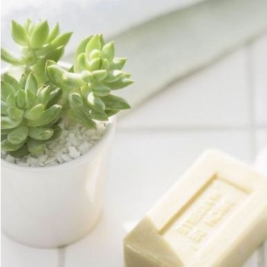 宜春龍魚店，宜春的龍魚店