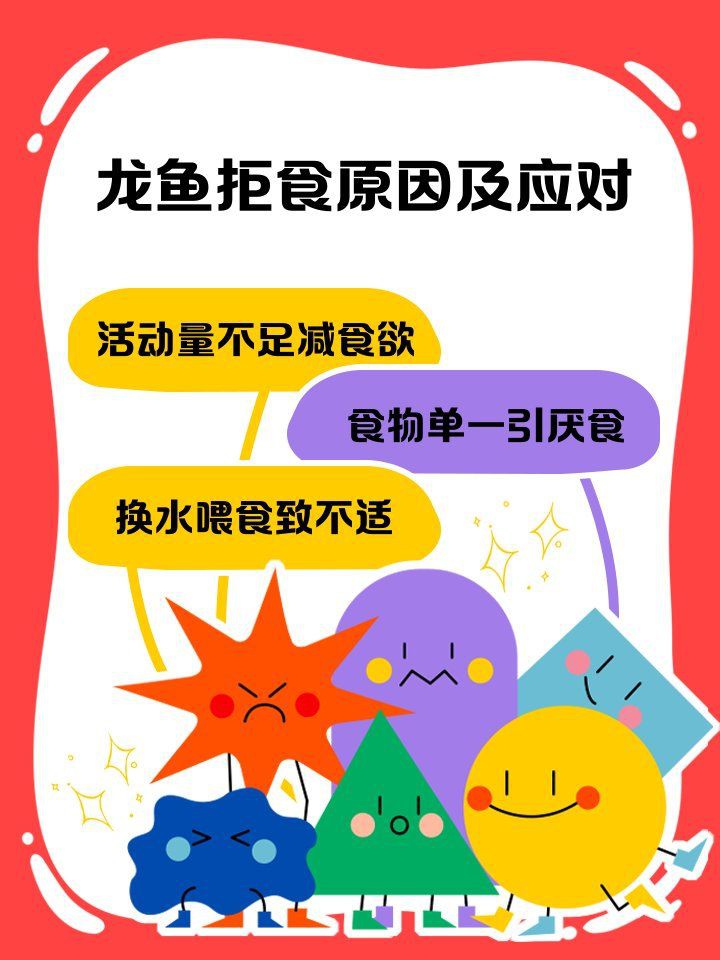 泗水龍魚最忌三種做法，《泗水龍魚最忌三種做法》 泗水龍魚最忌三種做法，《泗水龍魚最忌三種做法》 龍魚百科 第6張