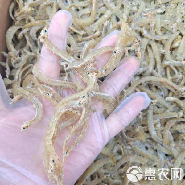 鳳魚價格一覽表，鳳尾魚價格一斤多少錢一斤一條鳳尾魚養殖需要哪些條件 鳳魚價格一覽表，鳳尾魚價格一斤多少錢一斤一條鳳尾魚養殖需要哪些條件 龍魚論壇