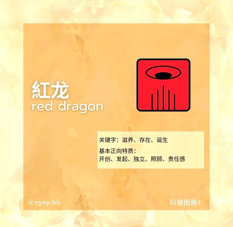 紅龍頭像與其他動物頭像比較，《紅龍頭像與其他動物頭像比較》