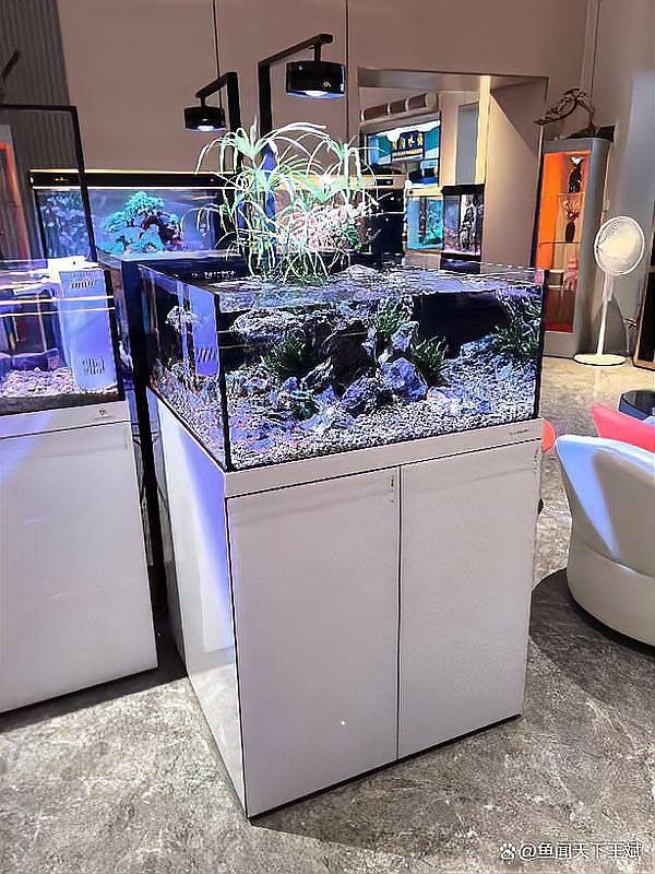 習水水族店，習水縣森森水族店 習水水族店，習水縣森森水族店 全國水族館企業名錄 第2張