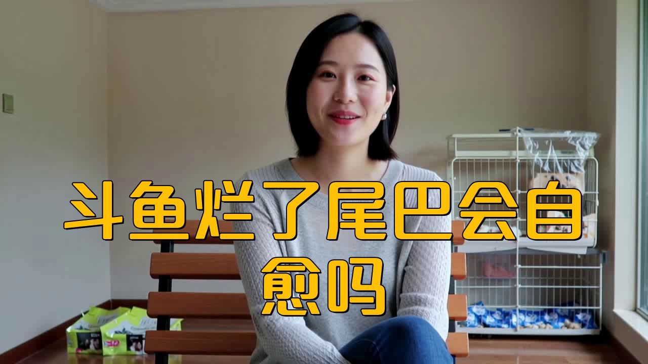 魚爛尾自愈需要多長時間？，金魚爛鰭爛尾怎么辦水質改善是關鍵全民小視頻 魚爛尾自愈需要多長時間？，金魚爛鰭爛尾怎么辦水質改善是關鍵全民小視頻 龍魚百科 第4張