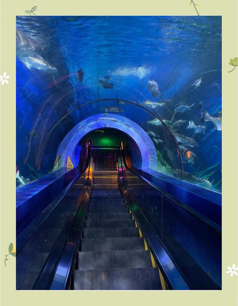 寧海水族店，寧海水族店是當地專注于水族領域的特色商鋪