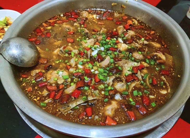 名山龍魚店，深山藏大院“魚龍”話傳奇