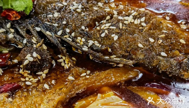 名山龍魚店，深山藏大院“魚龍”話傳奇