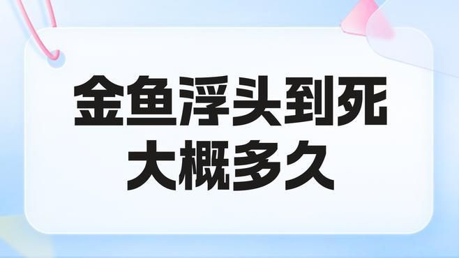 魚浮頭后一般多久會死？，金魚浮頭到死大概多久