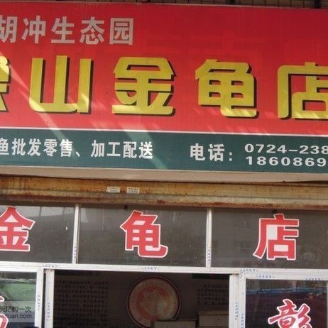 荊門龍魚店，荊門龍魚店利潤怎么樣創(chuàng)業(yè)新選擇