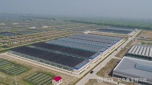 寶坻水族店，天津市寶坻區微漾水族用品店 寶坻水族店，天津市寶坻區微漾水族用品店 全國水族館企業名錄 第5張