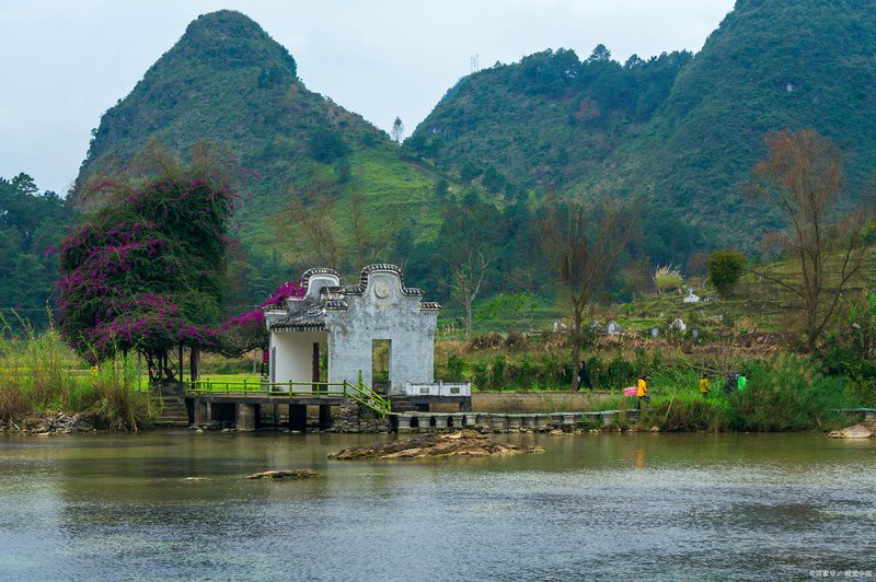 忻城龍魚店，忻城有賣龍魚的地方嗎 忻城龍魚店，忻城有賣龍魚的地方嗎 全國水族館企業名錄 第2張