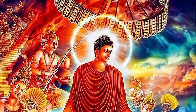 佛教禁止吃的三種肉，佛教中禁止食用的三種“不凈肉”：一是親眼目睹他人為供養自己而宰殺的動物之肉 佛教禁止吃的三種肉，佛教中禁止食用的三種“不凈肉”：一是親眼目睹他人為供養自己而宰殺的動物之肉 龍魚論壇 第7張