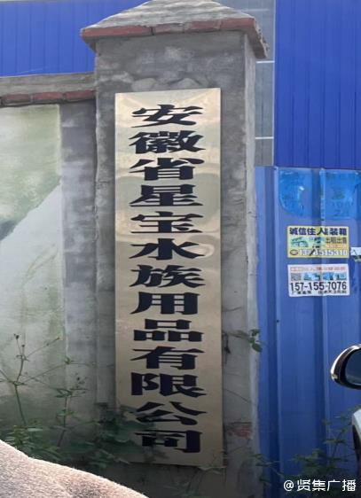 固鎮水族店，固鎮縣城關彩蝶水族花卉店