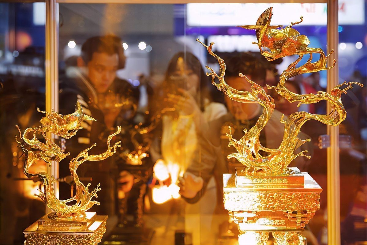 友誼龍魚店，友誼龍魚店有哪些龍魚品種友誼龍魚店的經營時間是什么時候 友誼龍魚店，友誼龍魚店有哪些龍魚品種友誼龍魚店的經營時間是什么時候 全國水族館企業名錄 第2張