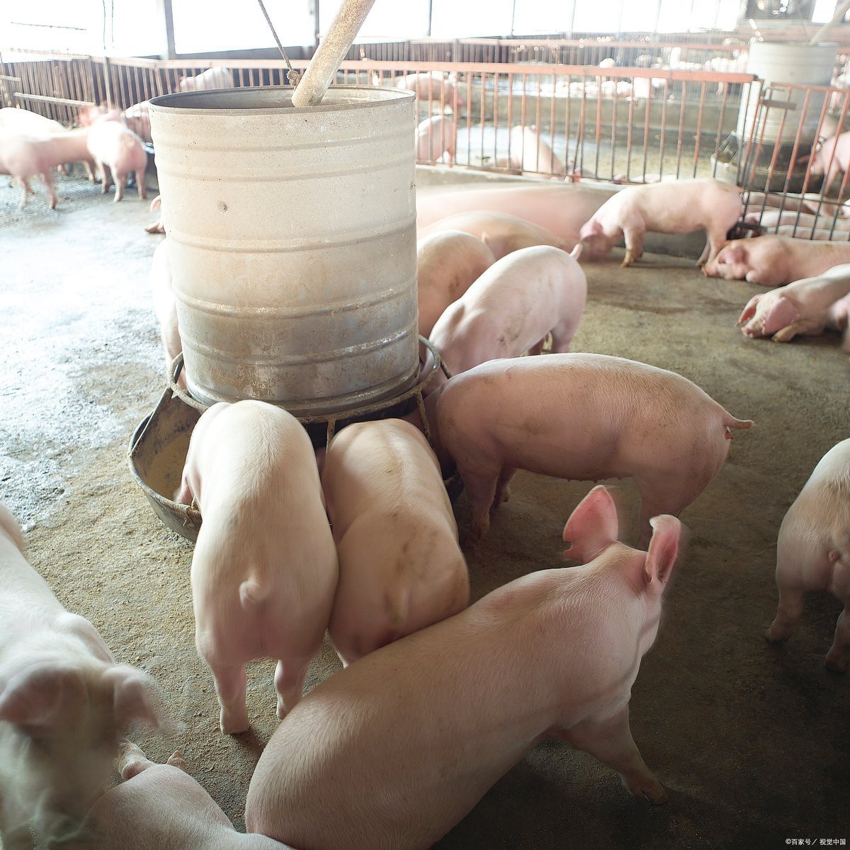 全國(guó)十大名牌獸藥廠，全國(guó)十大名牌獸藥廠匯聚西北企業(yè)覆蓋率超60%