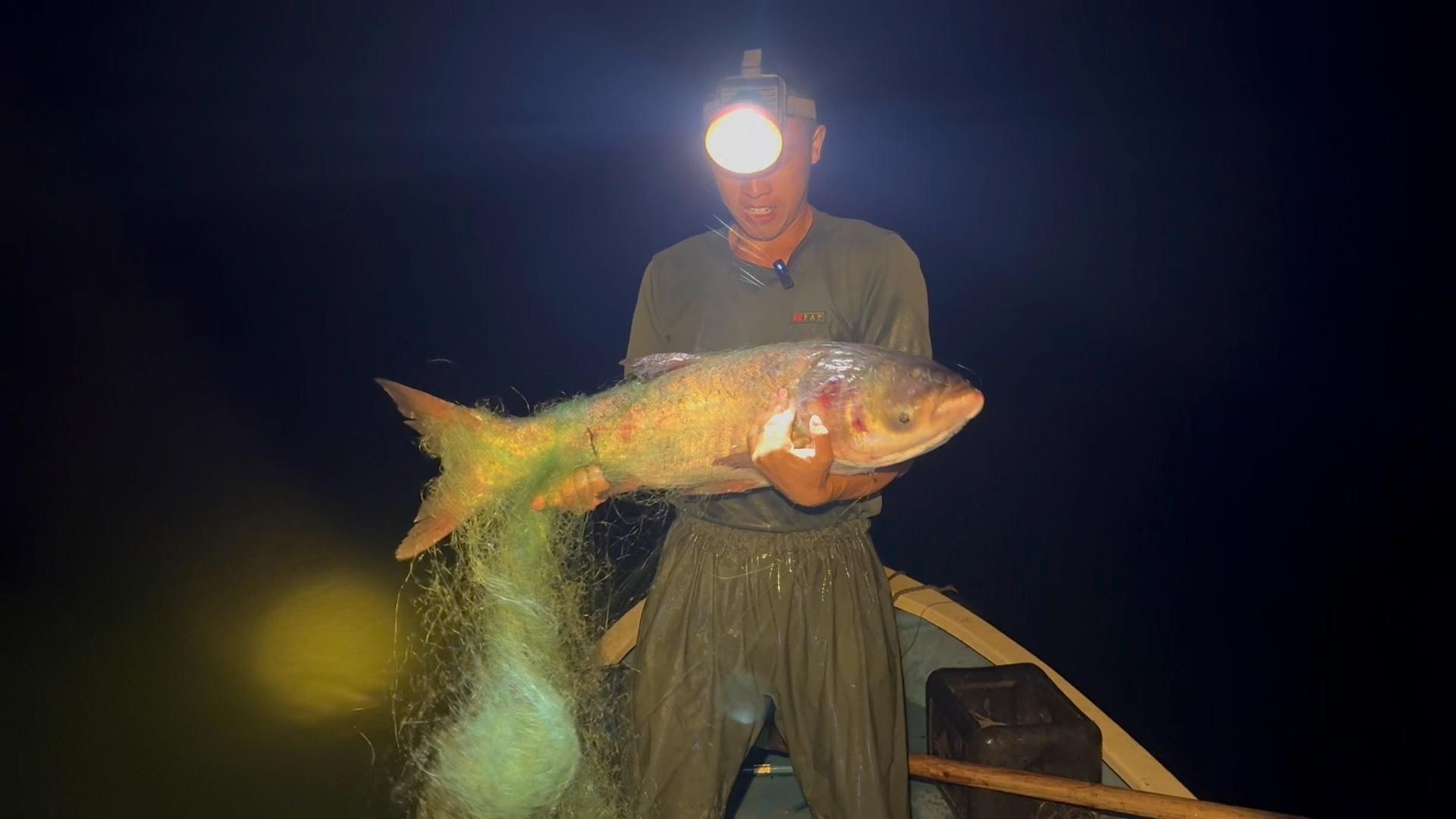 撈魚網撈魚的視頻，《撈魚網撈魚》視頻