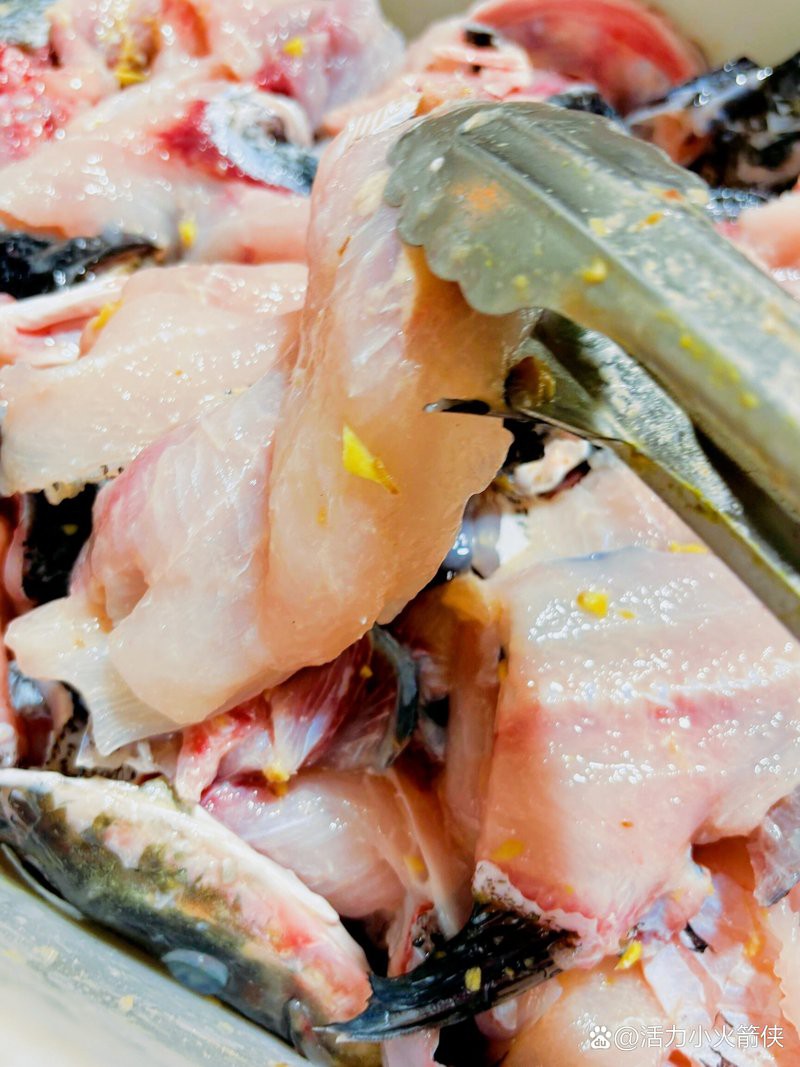 利州龍魚店，廣元利州龍魚店的具體位置在哪里 利州龍魚店，廣元利州龍魚店的具體位置在哪里 全國水族館企業名錄 第2張