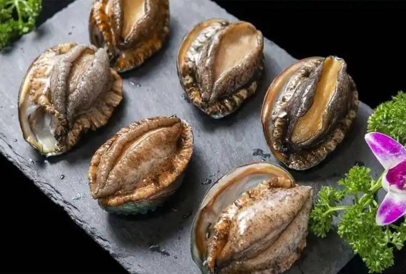 世界上最貴鮑魚排名，世界上“最奢侈”的鮑魚