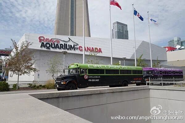 多倫水族店,多倫縣森淼水族花卉店 全國水族館企業名錄 第2張 多倫水族店,多倫縣森淼水族花卉店 多倫水族店,多倫縣森淼水族花卉店 全國水族館企業名錄 第2張