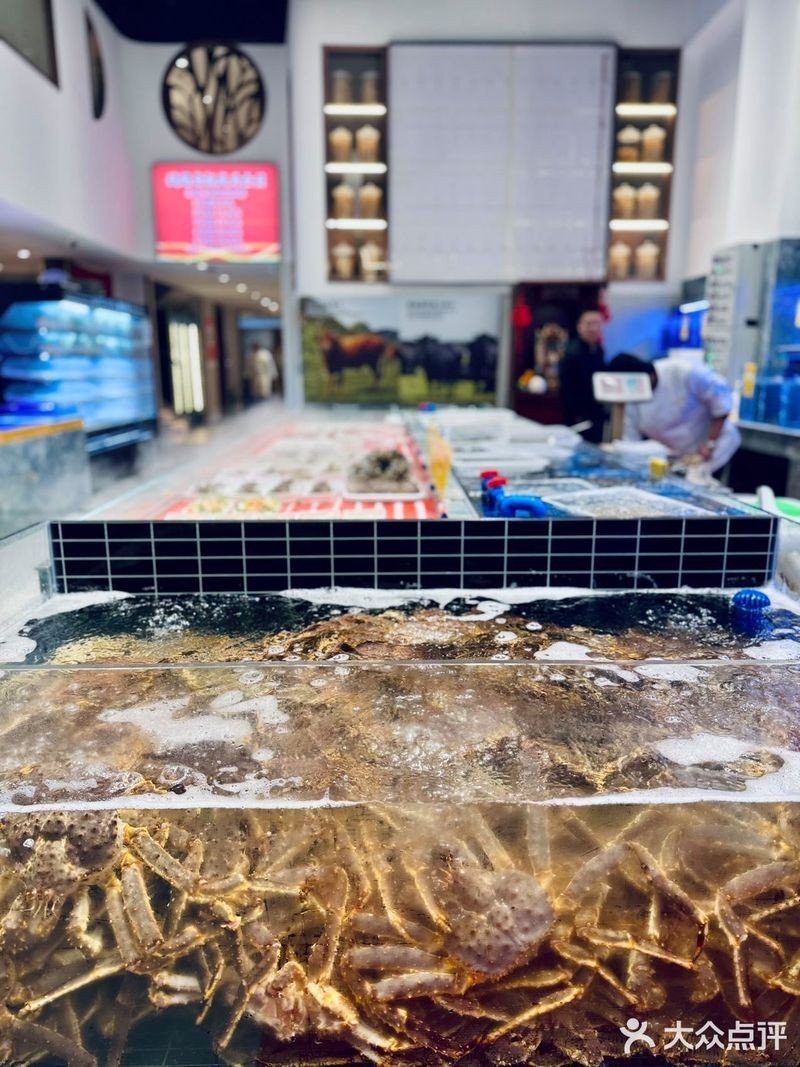 塘沽龍魚店，塘沽區聚龍閣龍魚水族館